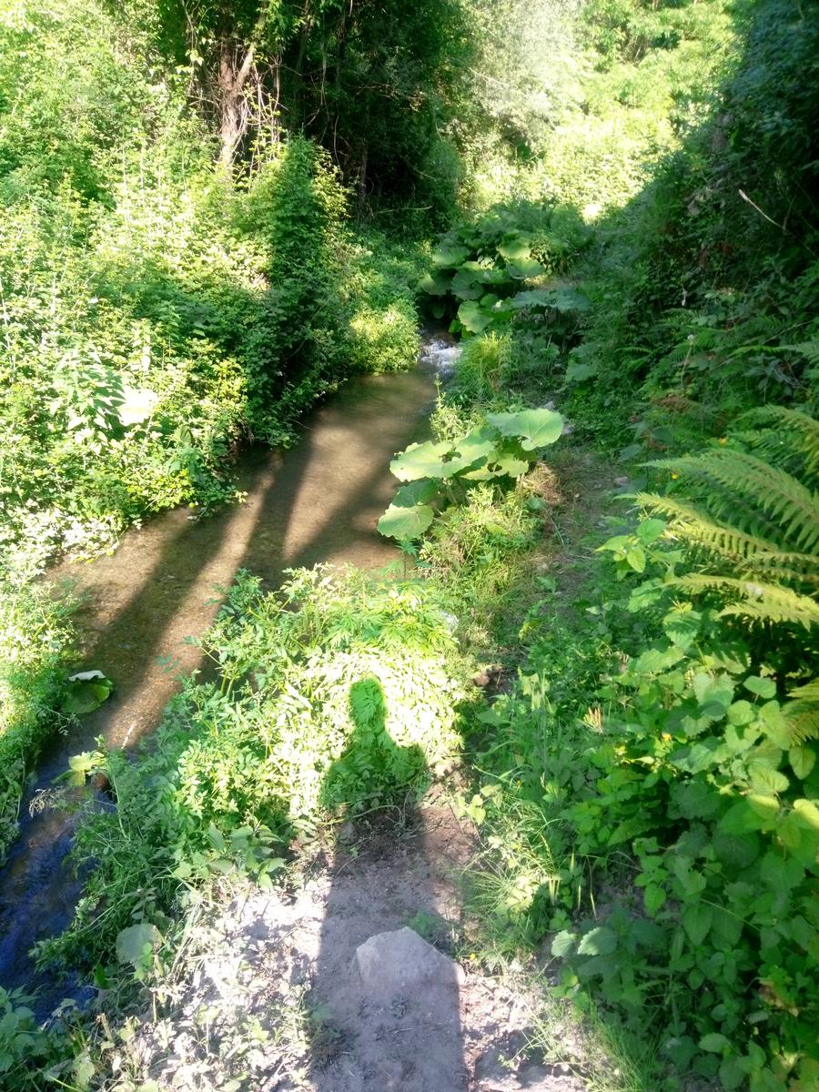 Pitigliano - Vie cave - Cascatella - foto 5