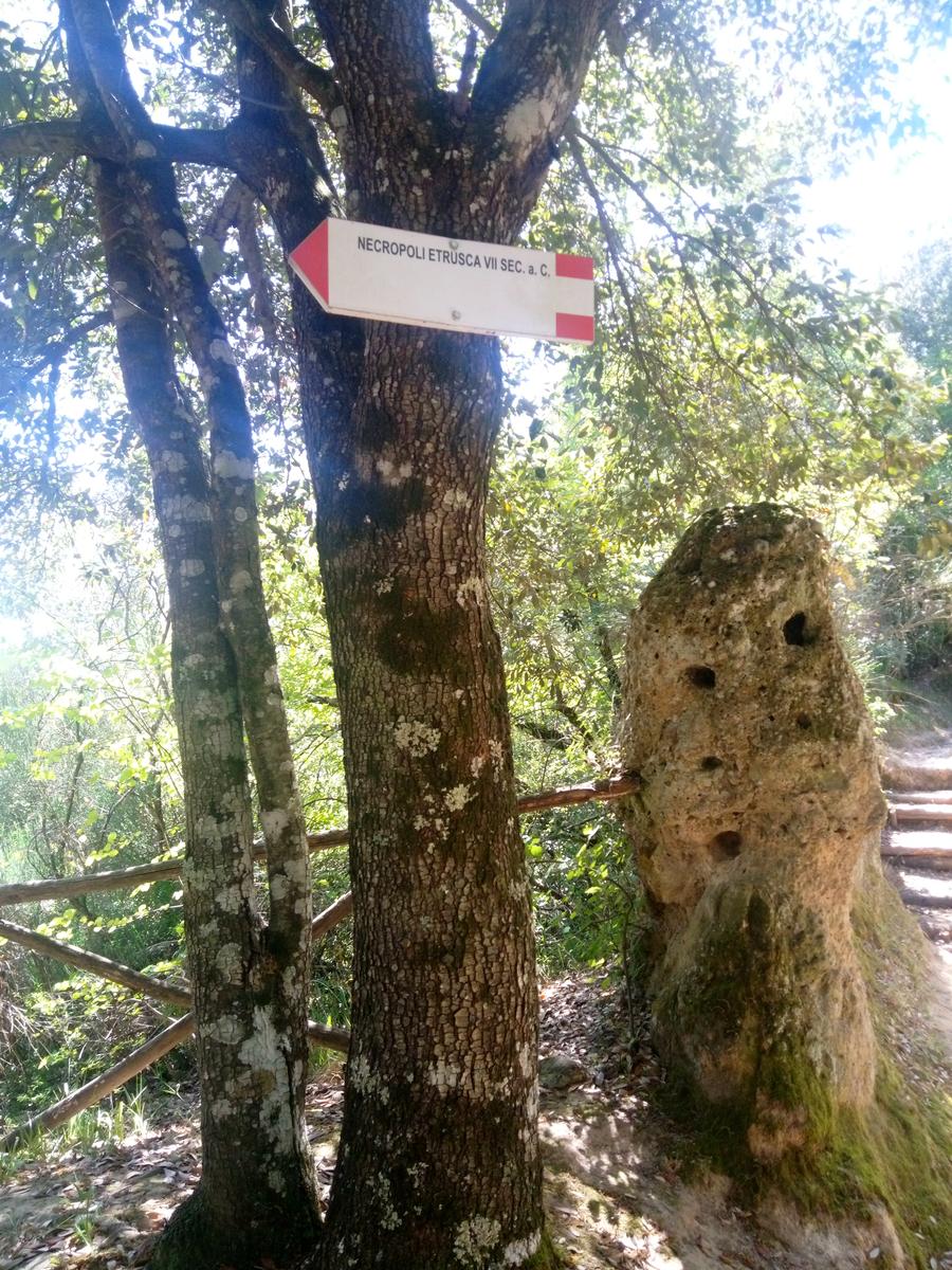 Pitigliano - Vie cave - Cascatella - foto 11