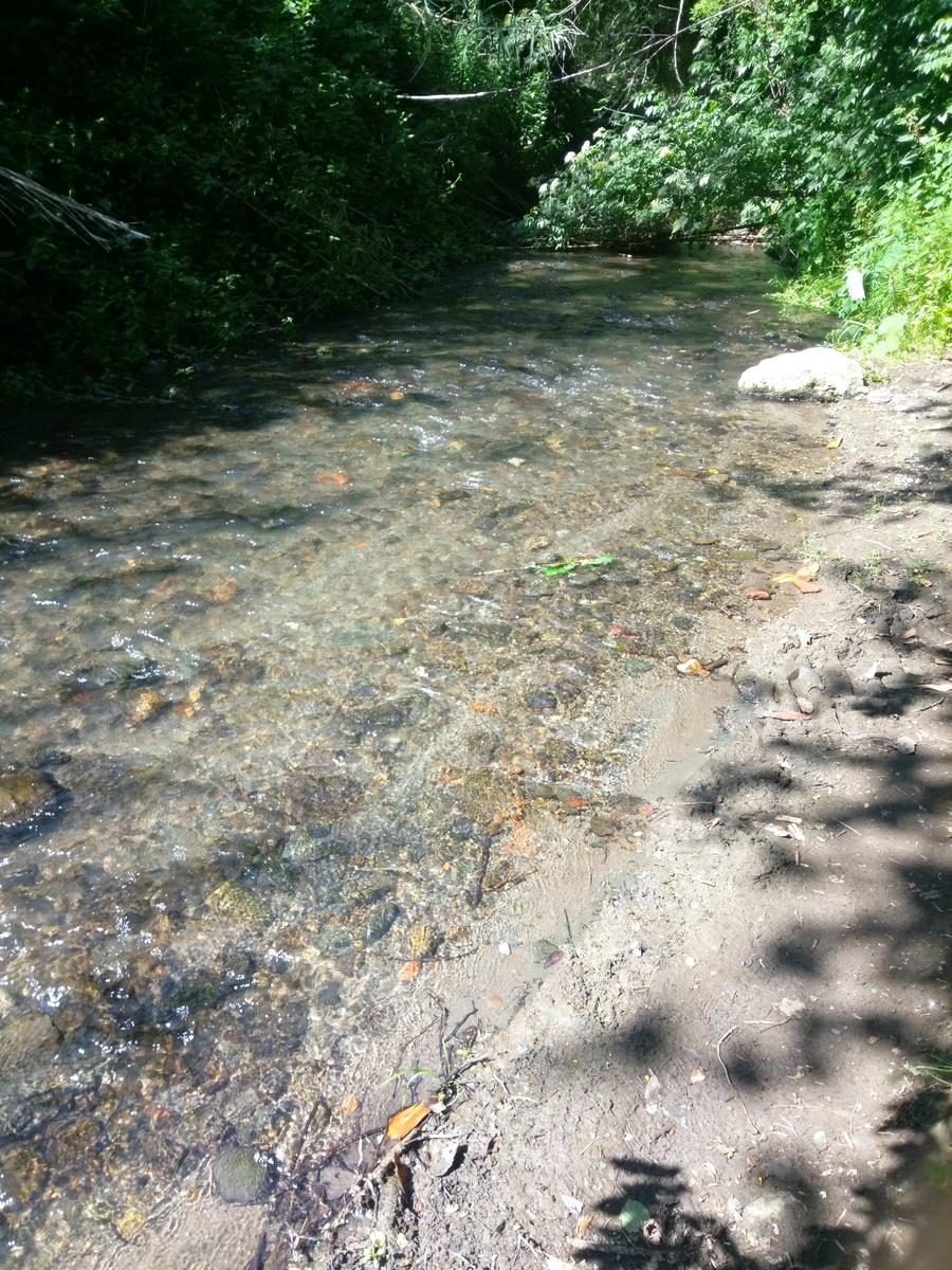Pitigliano - Vie cave - Cascatella - foto 16