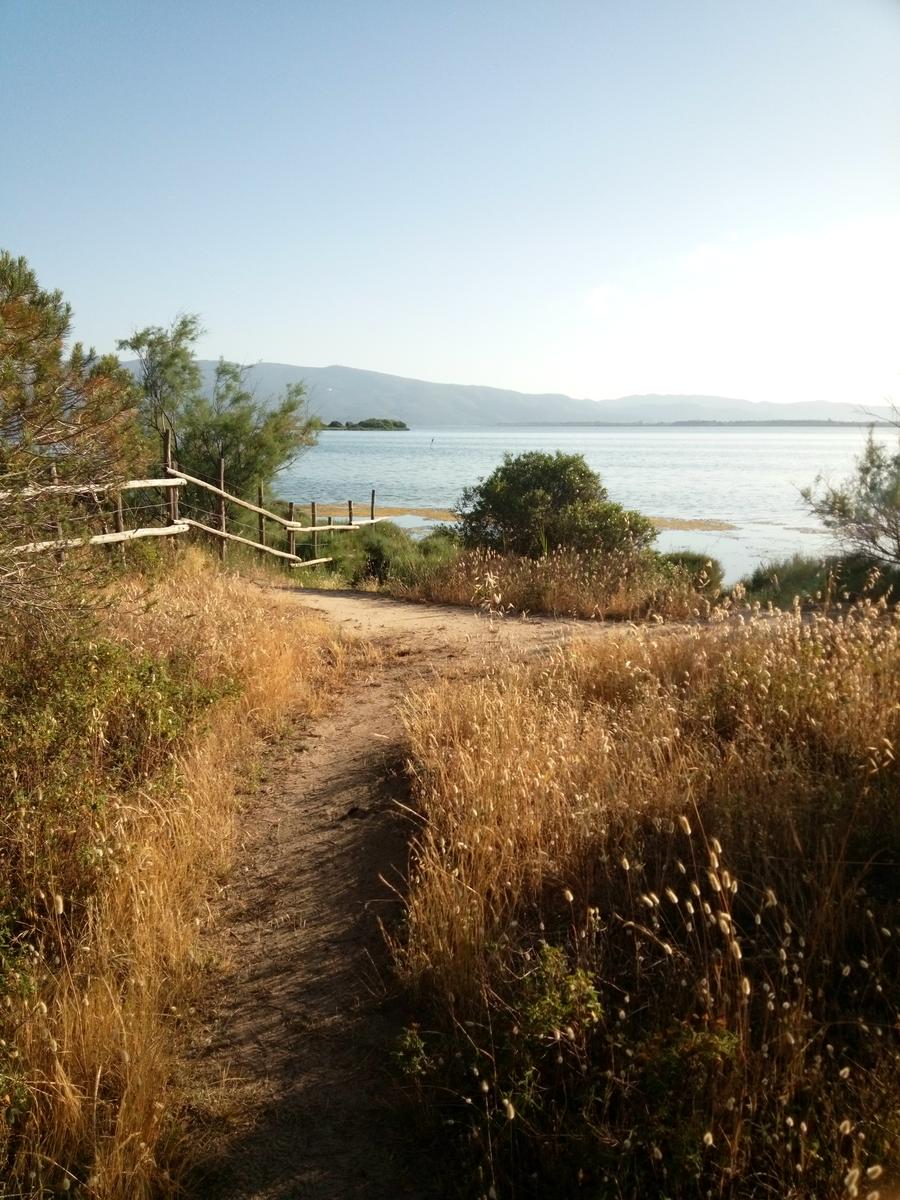 Bosco della patanella