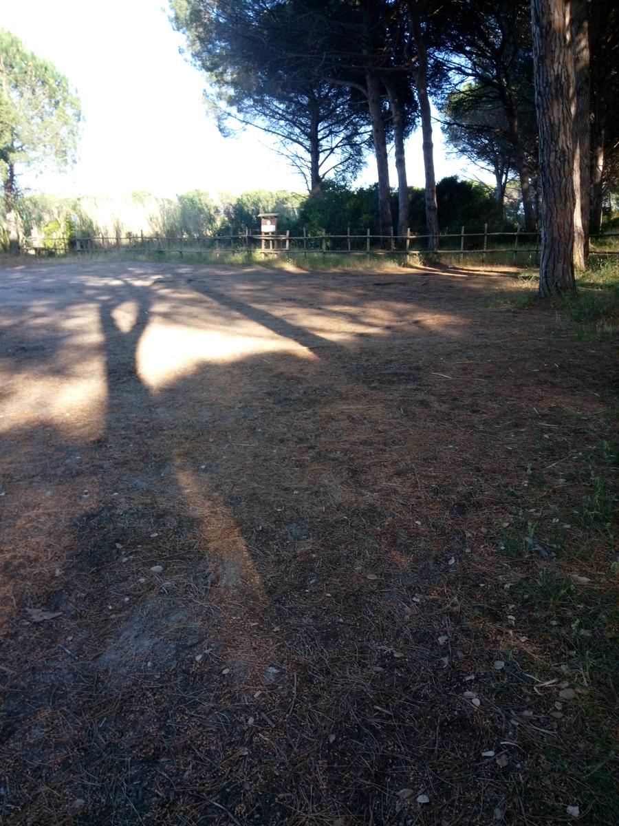 Bosco della patanella - foto 3