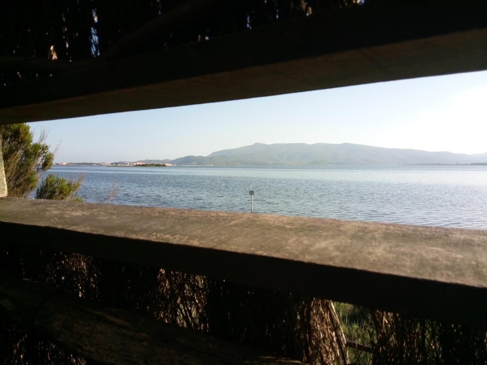 Bosco della patanella - foto 4