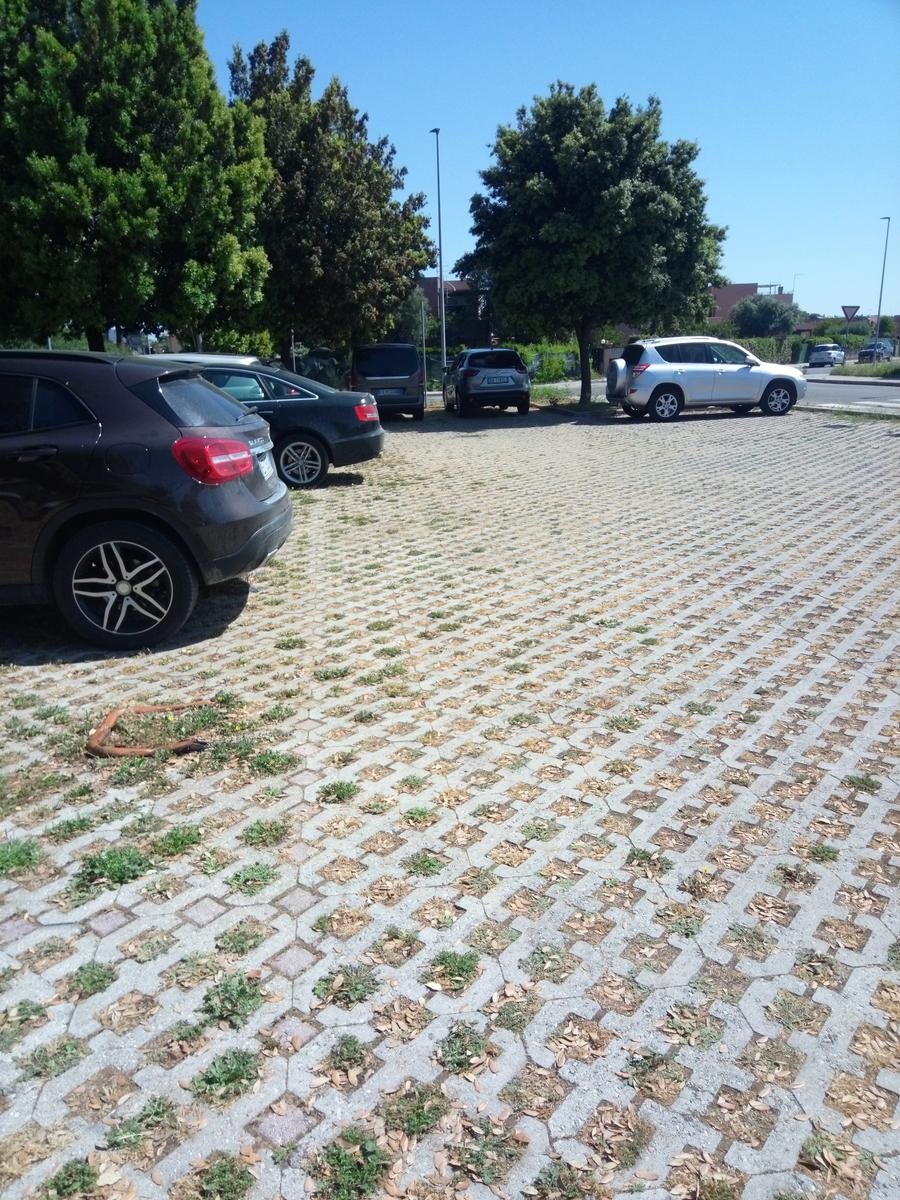 Castiglione della Pescaia - foto 5