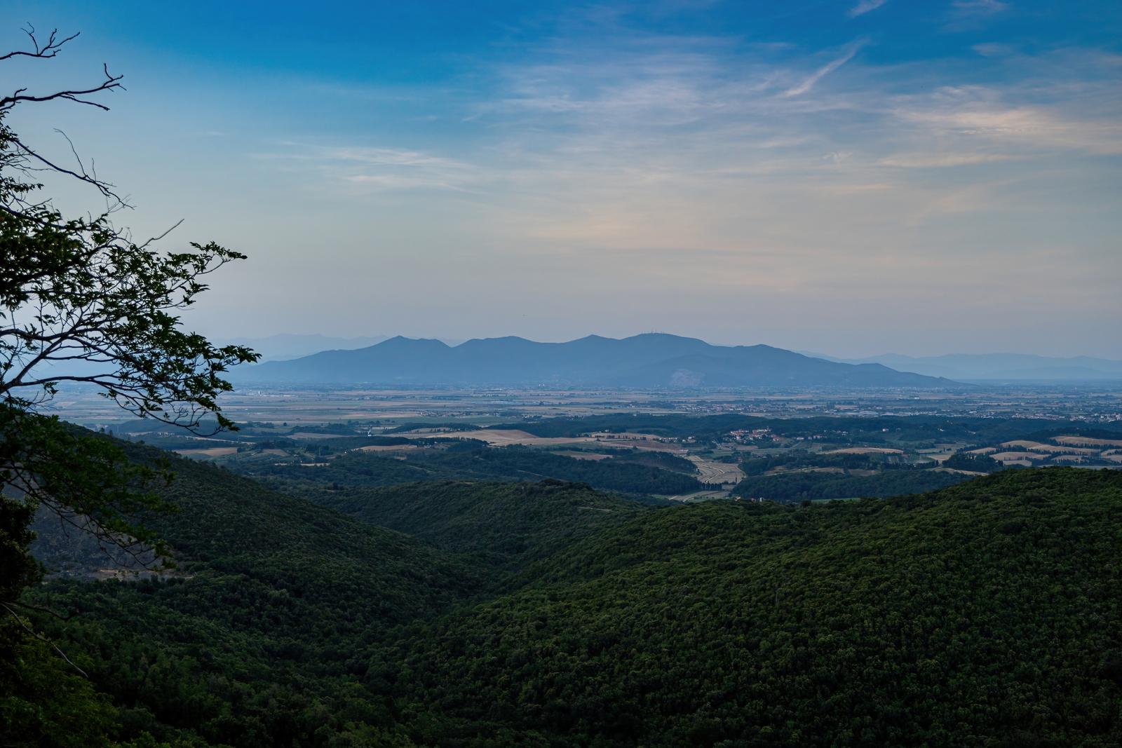 Livorno - Sambuca - Valle Benedetta - Lucciole - foto 2