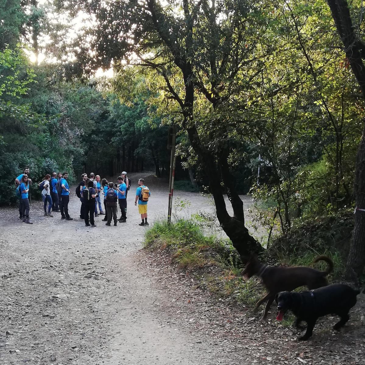 Livorno - Sambuca - Valle Benedetta - Lucciole - foto 5