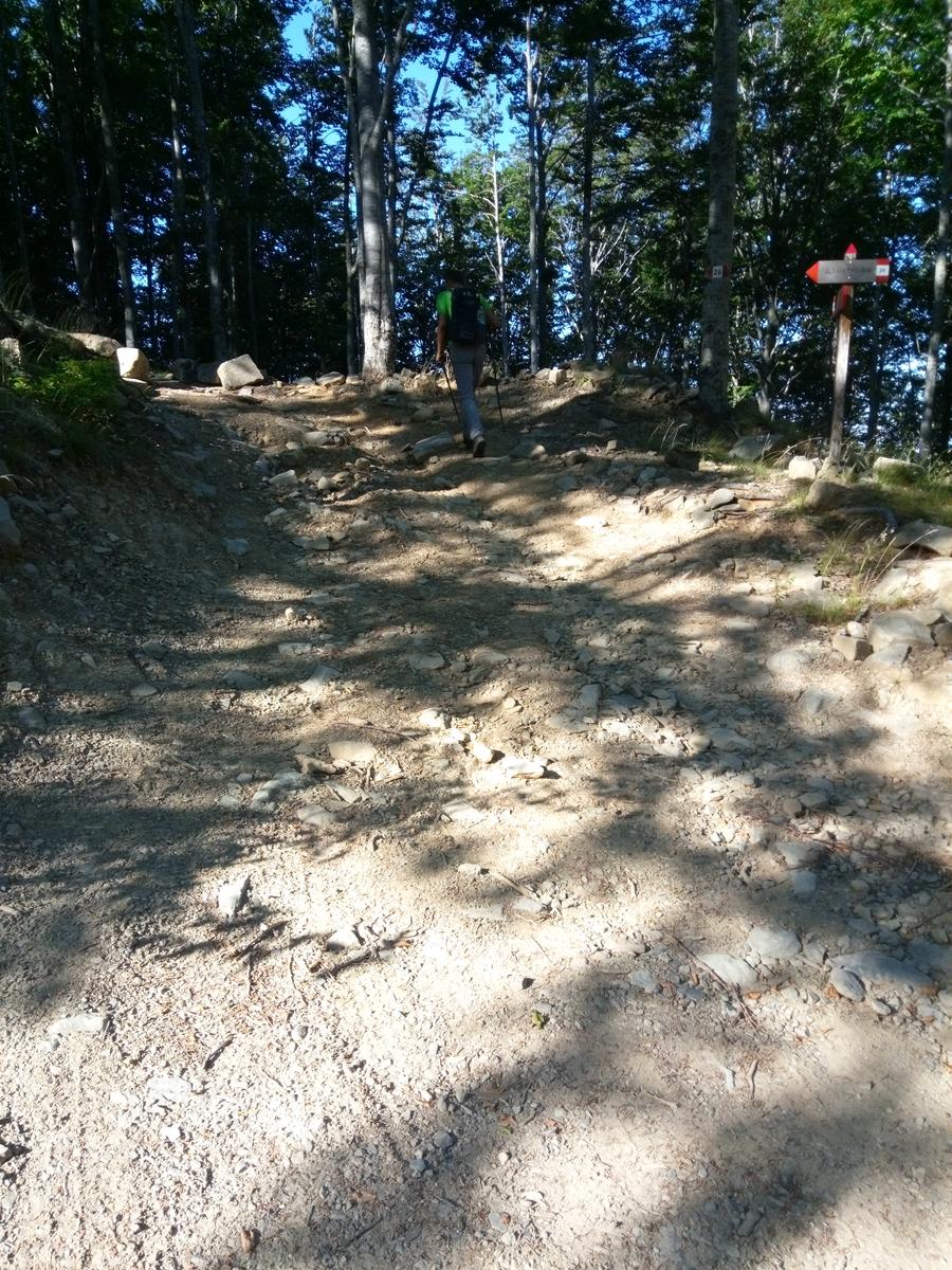 Rifugio Santi - Altaretto - Monte Rondinaio - Monte Rondinaio Lombardo - Lago Santo - Lago Baccio - Cima dell'uomo - foto 3
