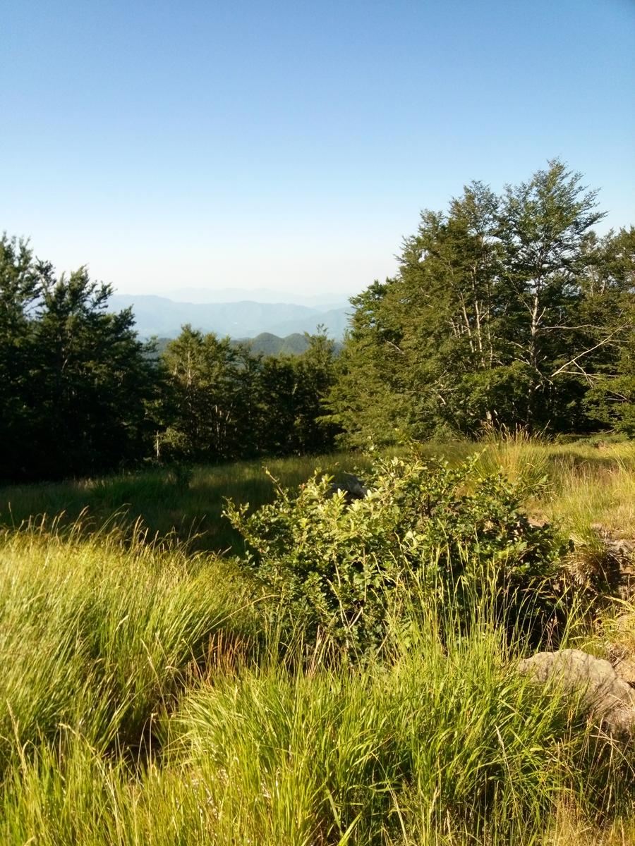 Rifugio Santi - Altaretto - Monte Rondinaio - Monte Rondinaio Lombardo - Lago Santo - Lago Baccio - Cima dell'uomo - foto 4