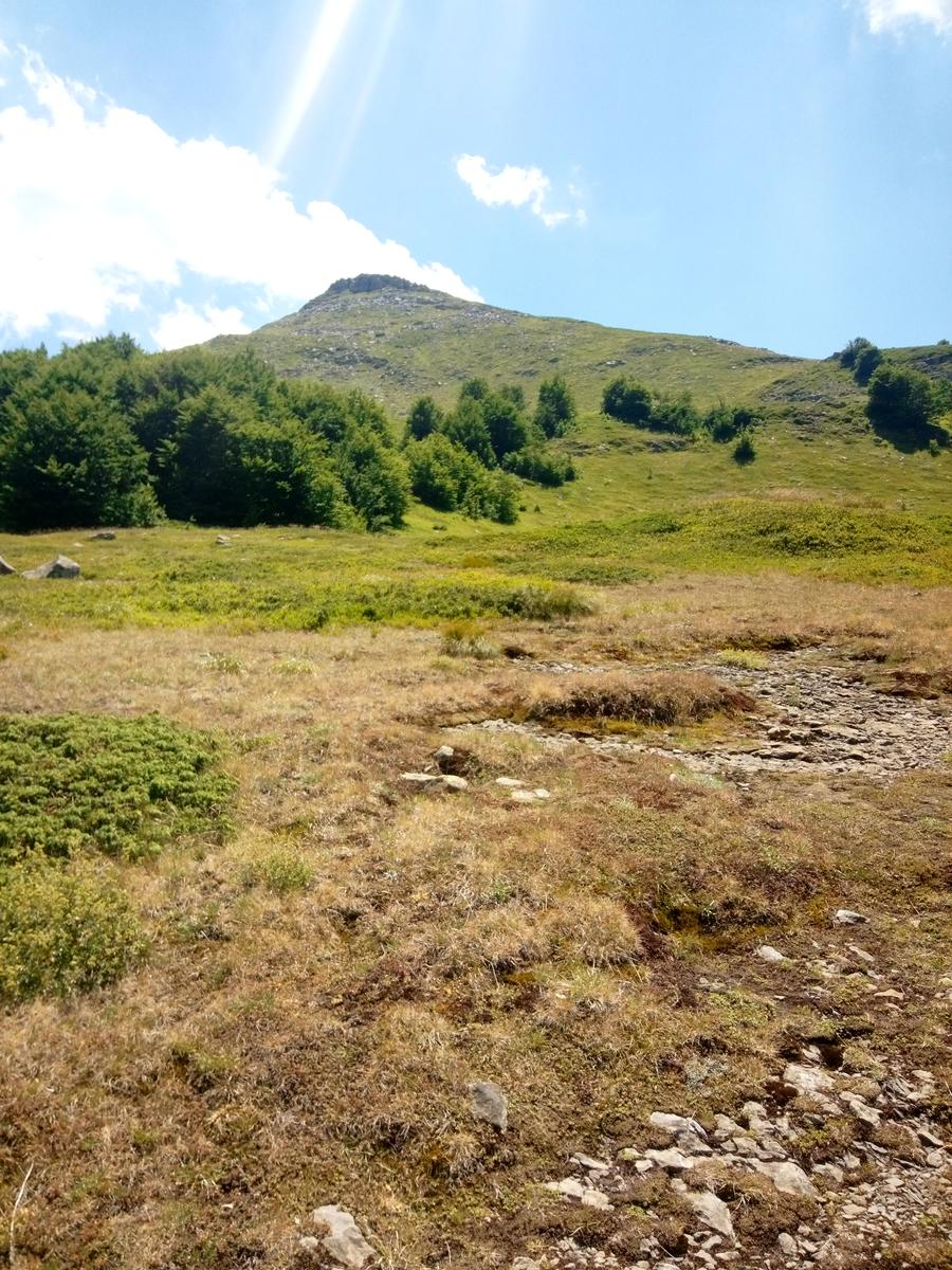 Rifugio Santi - Altaretto - Monte Rondinaio - Monte Rondinaio Lombardo - Lago Santo - Lago Baccio - Cima dell'uomo - foto 12