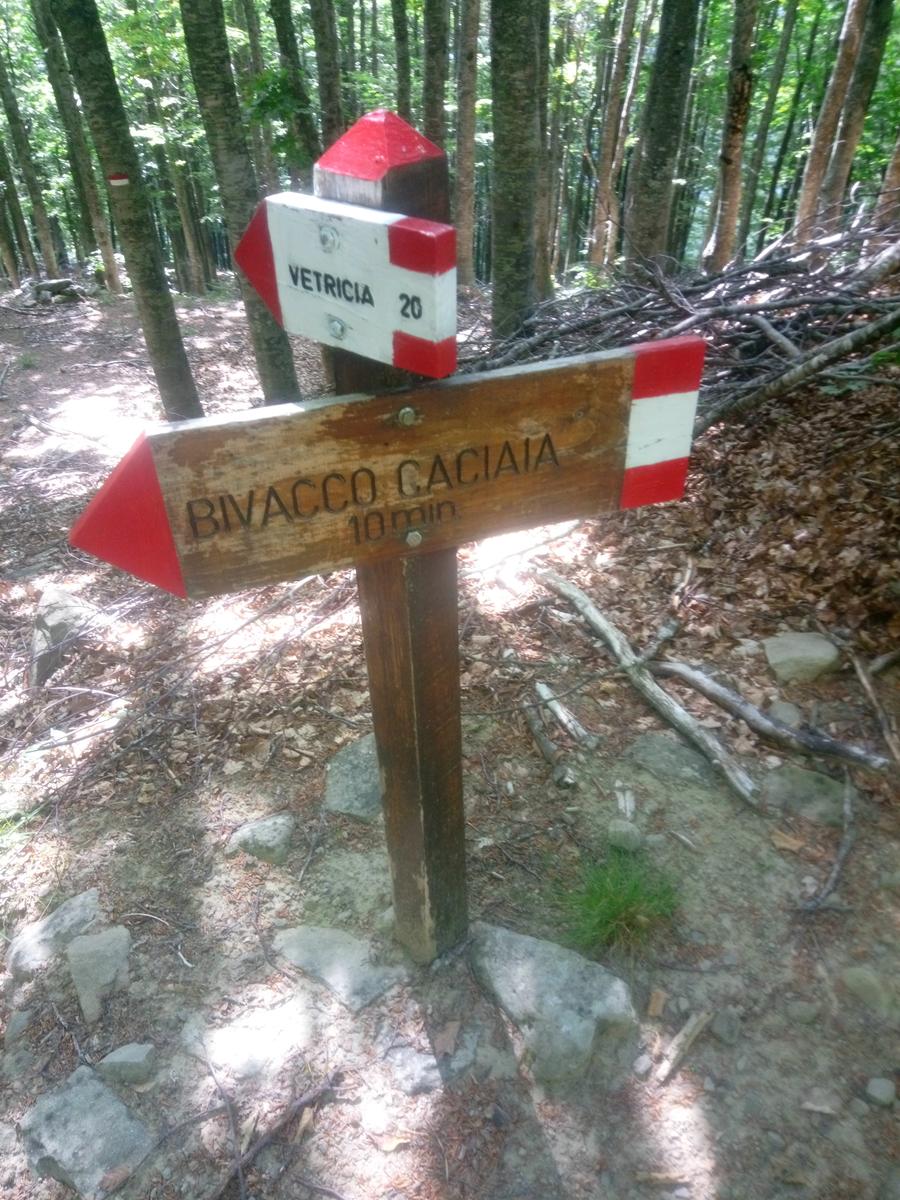 Rifugio Santi - Altaretto - Monte Rondinaio - Monte Rondinaio Lombardo - Lago Santo - Lago Baccio - Cima dell'uomo - foto 15