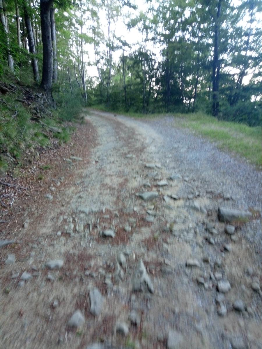 Rifugio Santi - Altaretto - Monte Rondinaio - Monte Rondinaio Lombardo - Lago Santo - Lago Baccio - Cima dell'uomo - foto 18