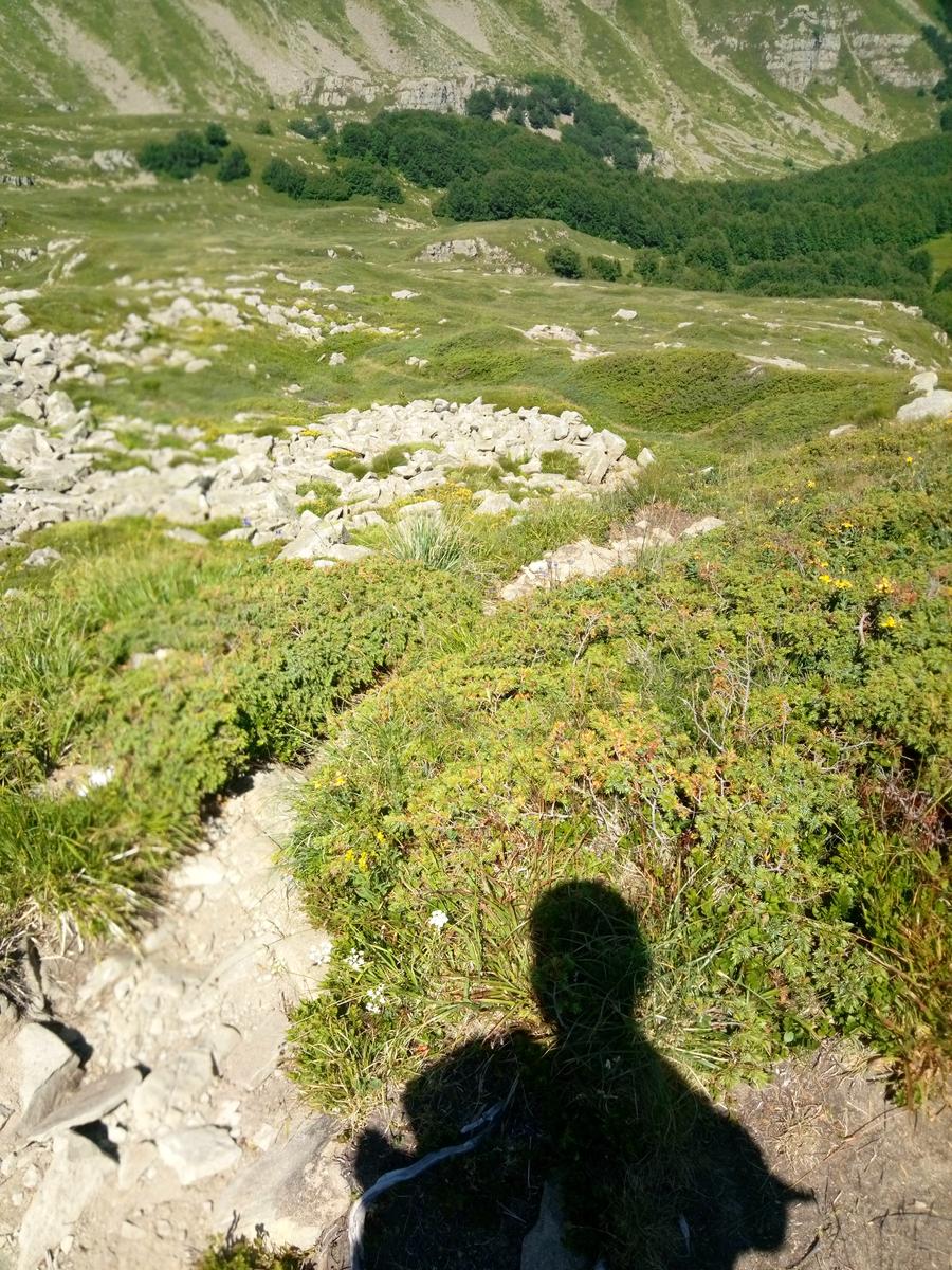 Rifugio Santi - Altaretto - Monte Rondinaio - Monte Rondinaio Lombardo - Lago Santo - Lago Baccio - Cima dell'uomo - foto 20