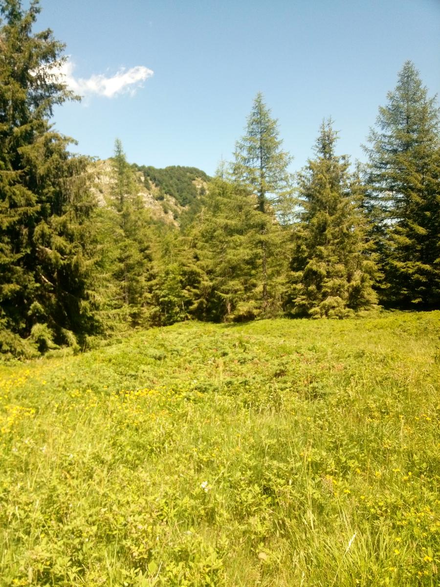 Rifugio Santi - Altaretto - Monte Rondinaio - Monte Rondinaio Lombardo - Lago Santo - Lago Baccio - Cima dell'uomo - foto 21