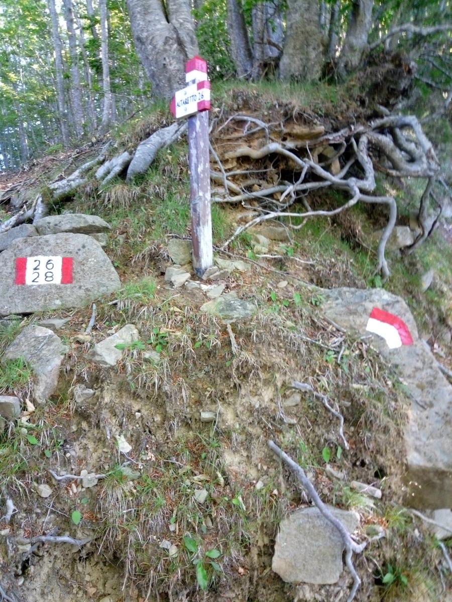 Rifugio Santi - Altaretto - Monte Rondinaio - Monte Rondinaio Lombardo - Lago Santo - Lago Baccio - Cima dell'uomo - foto 25