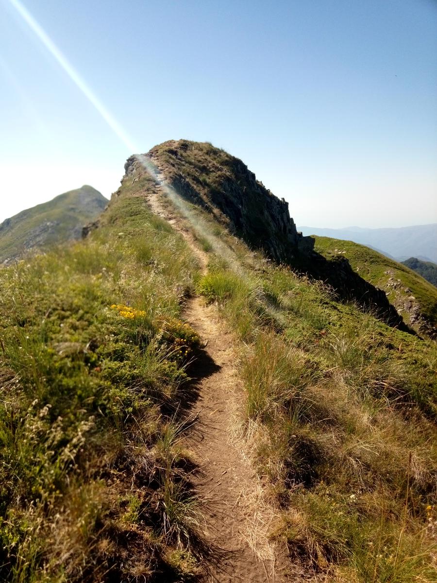 Rifugio Santi - Altaretto - Monte Rondinaio - Monte Rondinaio Lombardo - Lago Santo - Lago Baccio - Cima dell'uomo - foto 28