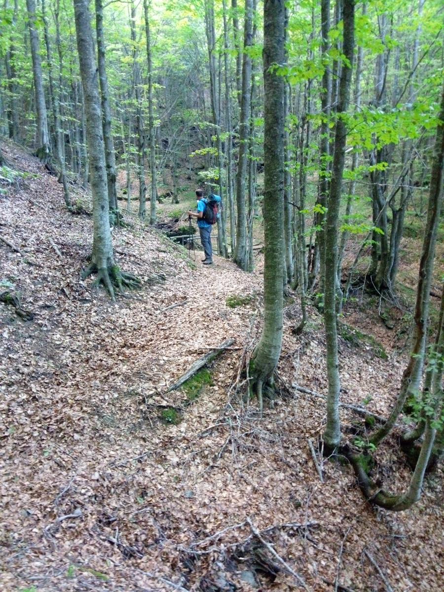 Tendata (due giorni) Sestola - cresta del Gallo - Monte Cimone - Monte Cimoncino - lago della ninfa - foto 3