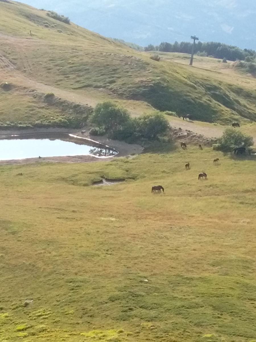 Tendata (due giorni) Sestola - cresta del Gallo - Monte Cimone - Monte Cimoncino - lago della ninfa - foto 4