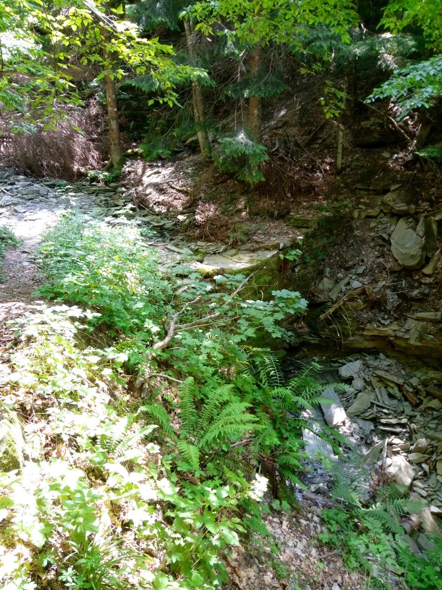 Tendata (due giorni) Sestola - cresta del Gallo - Monte Cimone - Monte Cimoncino - lago della ninfa - foto 7