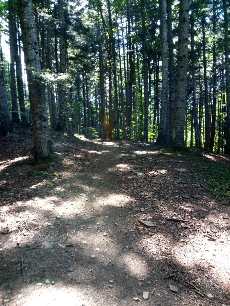 Tendata (due giorni) Sestola - cresta del Gallo - Monte Cimone - Monte Cimoncino - lago della ninfa - foto 8