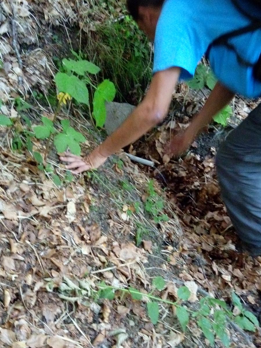 Tendata (due giorni) Sestola - cresta del Gallo - Monte Cimone - Monte Cimoncino - lago della ninfa - foto 9