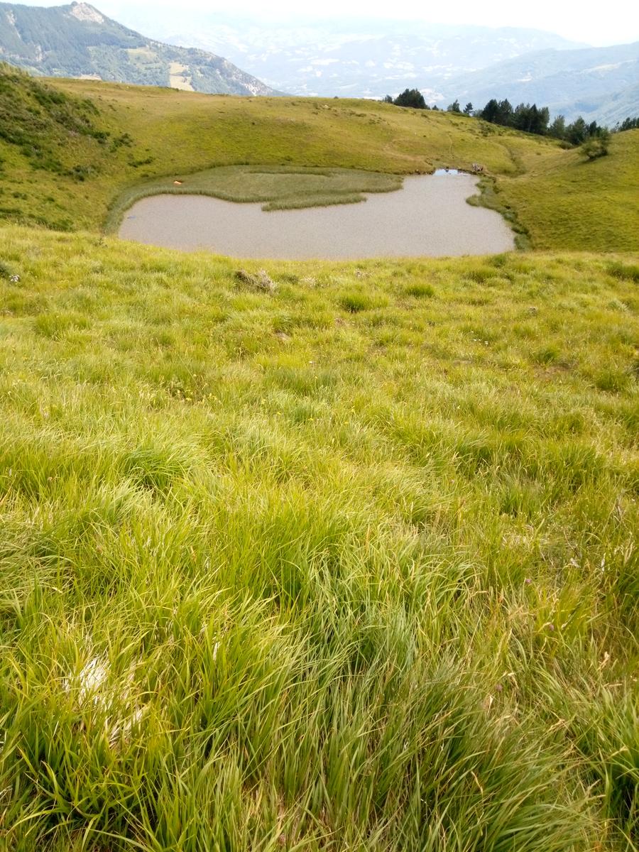 Tendata (due giorni) Sestola - cresta del Gallo - Monte Cimone - Monte Cimoncino - lago della ninfa - foto 14