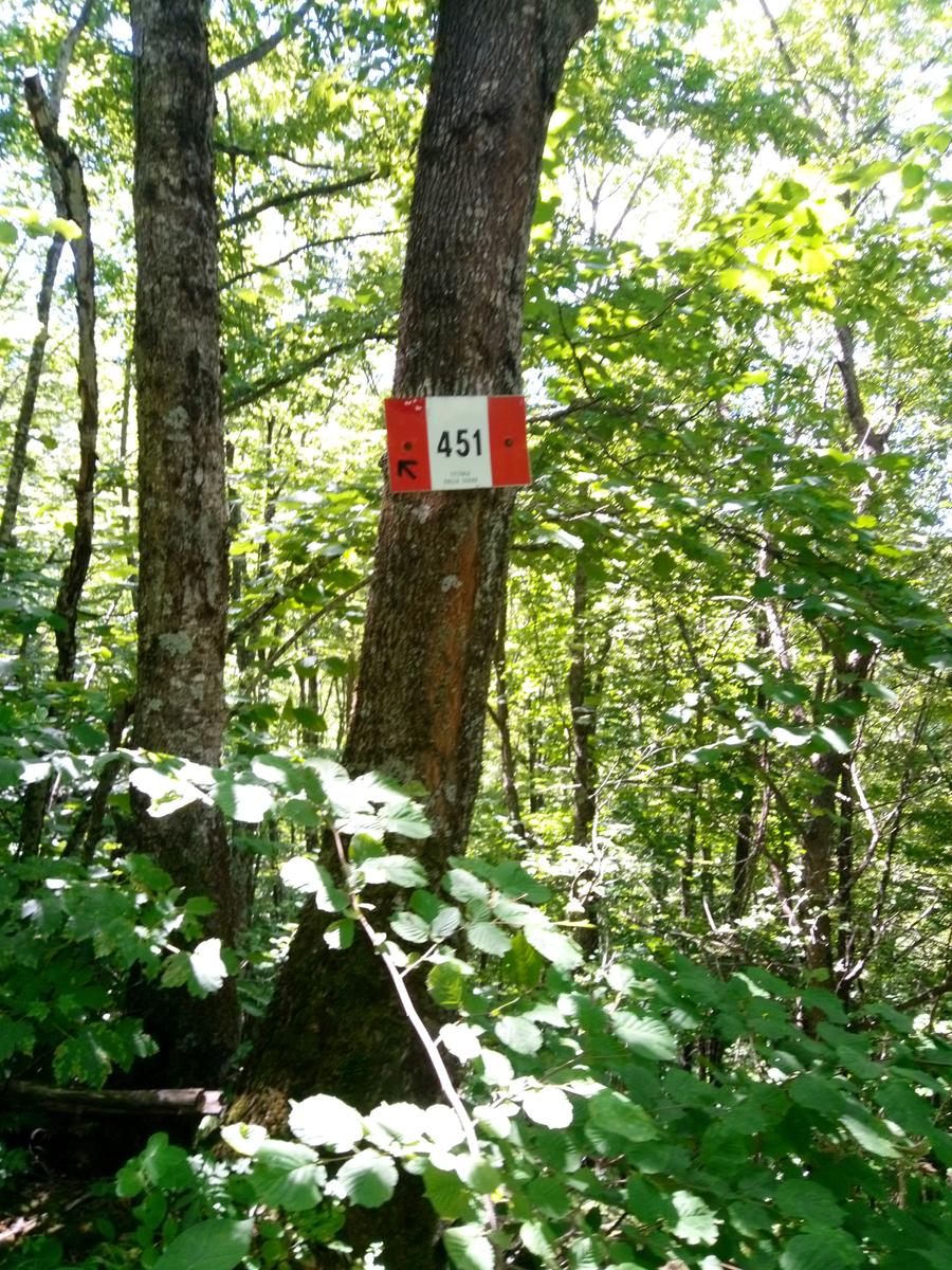 Tendata (due giorni) Sestola - cresta del Gallo - Monte Cimone - Monte Cimoncino - lago della ninfa - foto 19