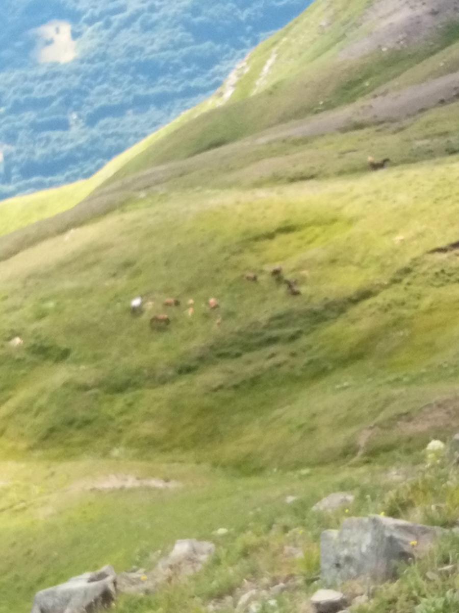 Tendata (due giorni) Sestola - cresta del Gallo - Monte Cimone - Monte Cimoncino - lago della ninfa - foto 29