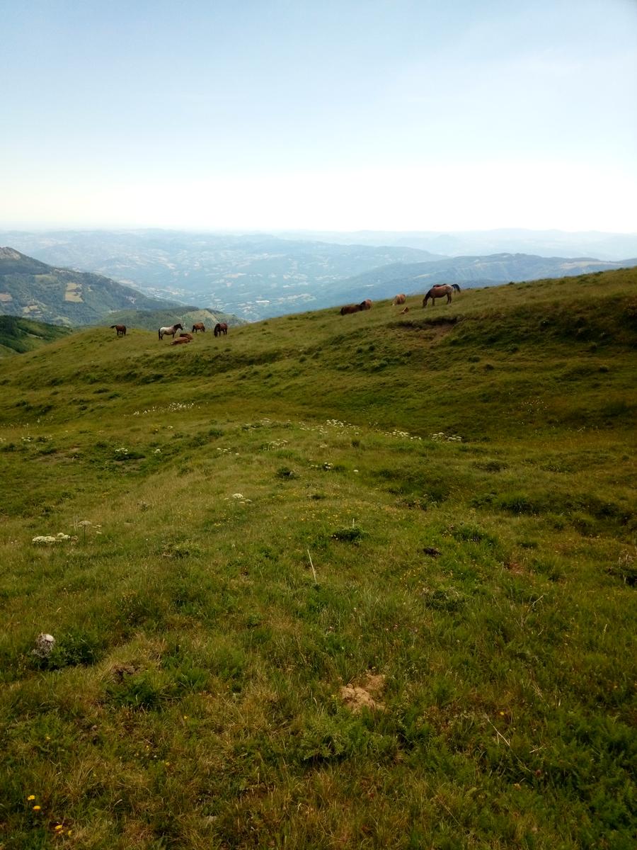Tendata (due giorni) Sestola - cresta del Gallo - Monte Cimone - Monte Cimoncino - lago della ninfa - foto 30
