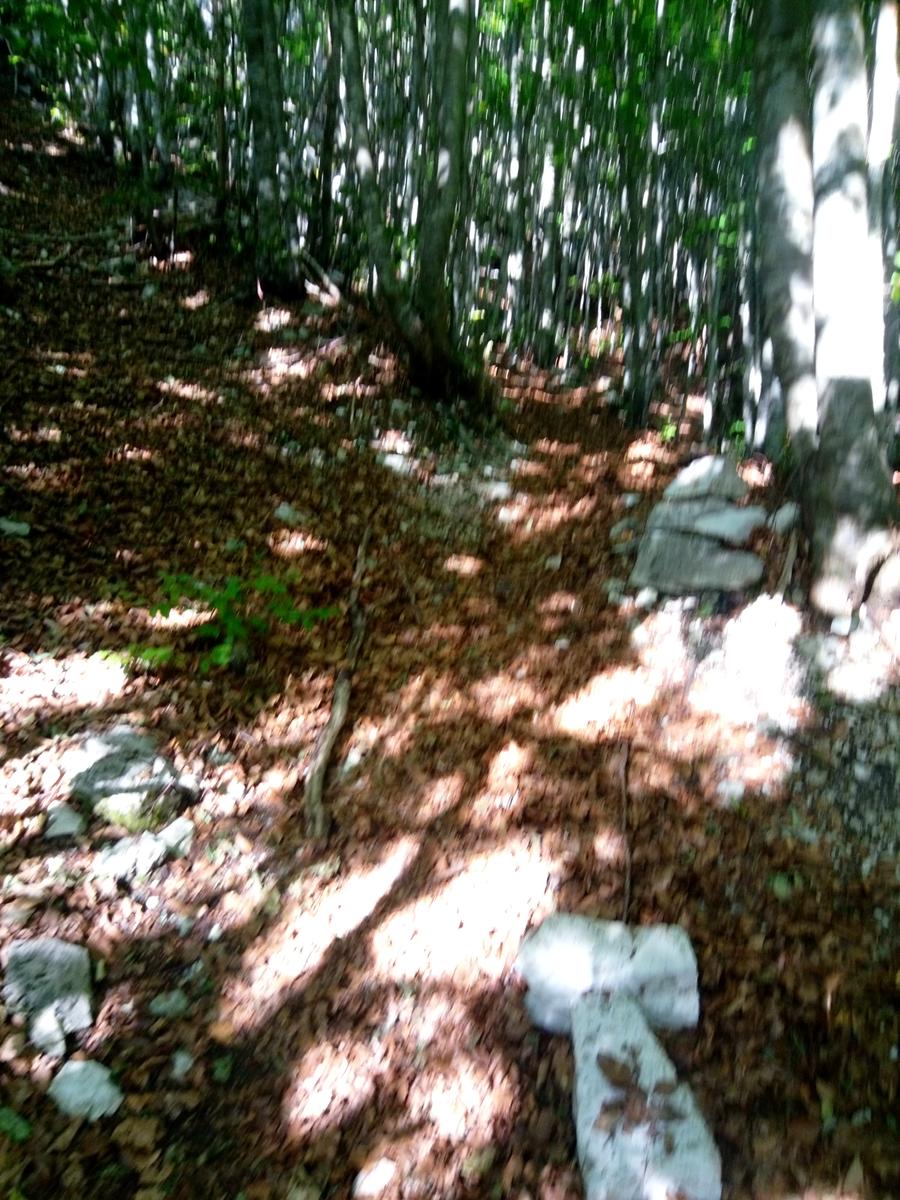 4monti - Monte Macina - Monte Sella - Monte fiocca - Monte Sumbra - foto 3