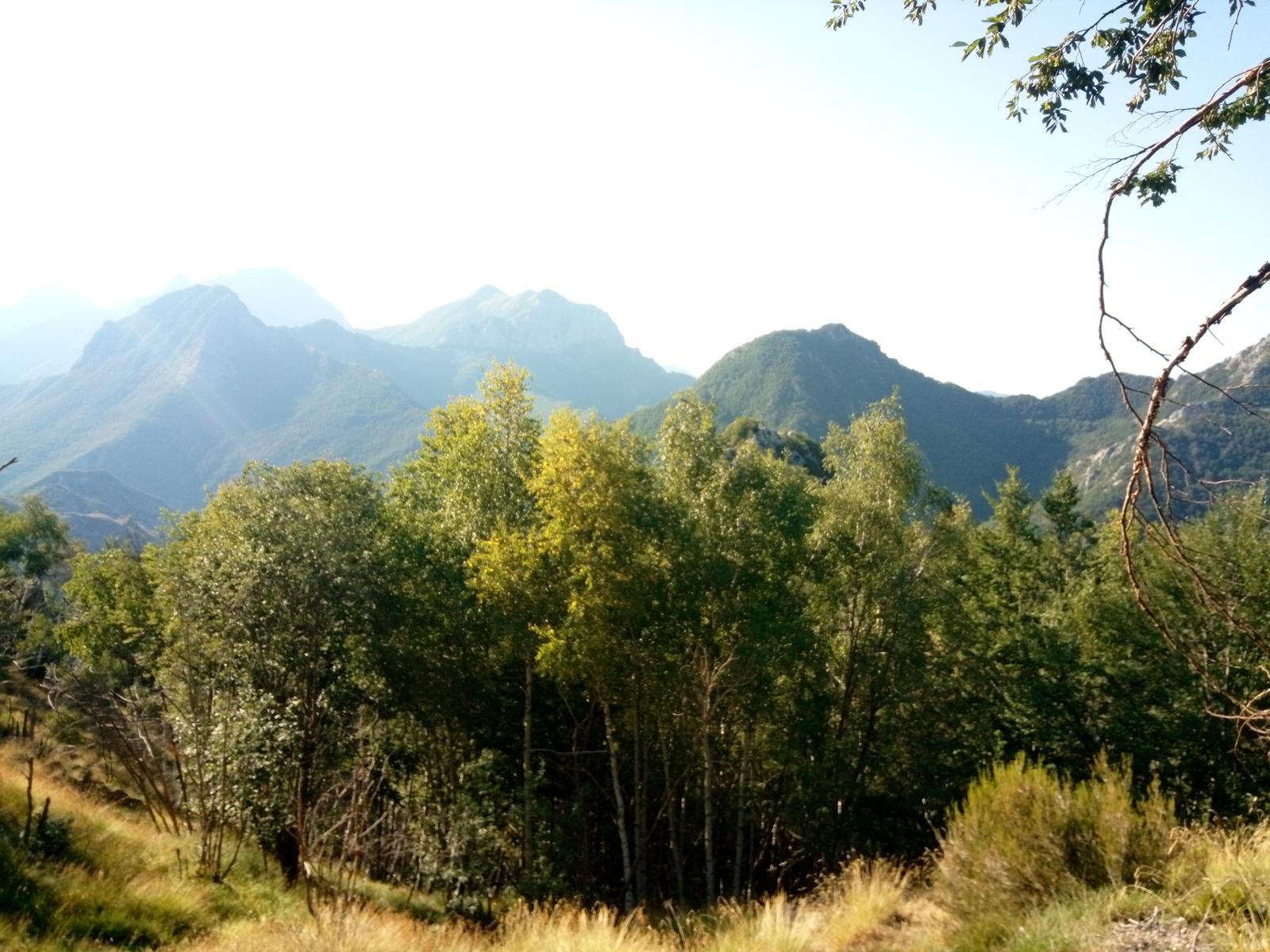 4monti - Monte Macina - Monte Sella - Monte fiocca - Monte Sumbra - foto 14