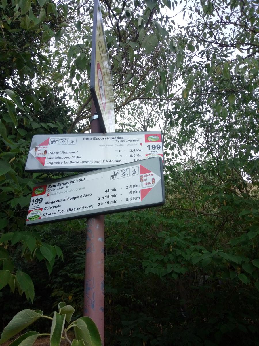 Gabbro anello serale Poggio D'arco - foto 3