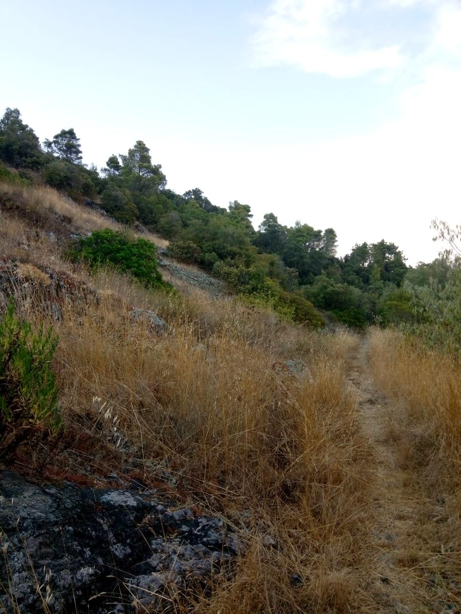 Gabbro anello serale Poggio D'arco - foto 4