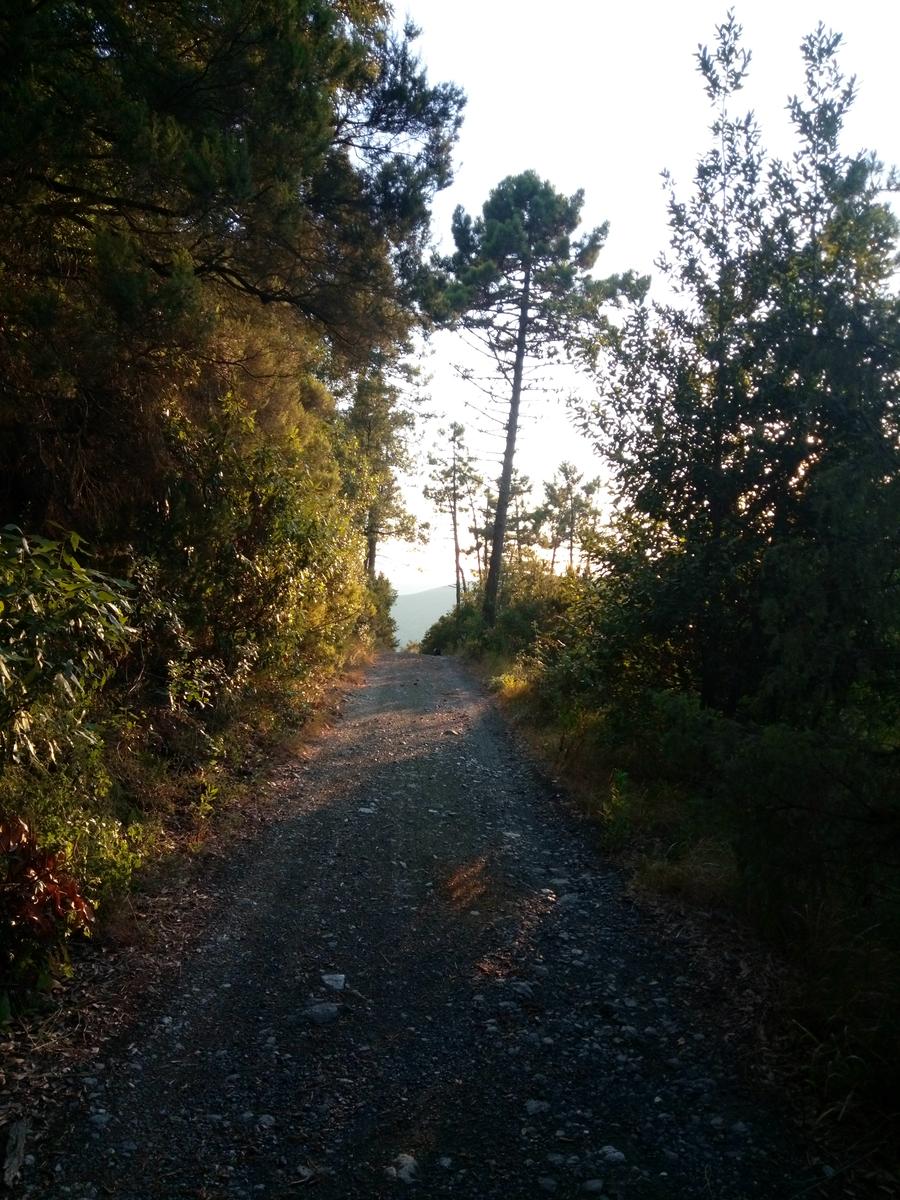 Gabbro anello serale Poggio D'arco