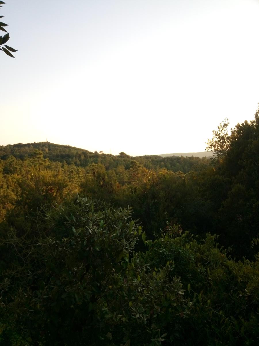 Gabbro anello serale Poggio D'arco - foto 9