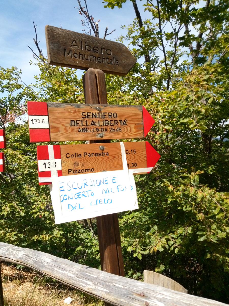 Pania della Croce - Uomo Morto - Pania Secca - foto 7