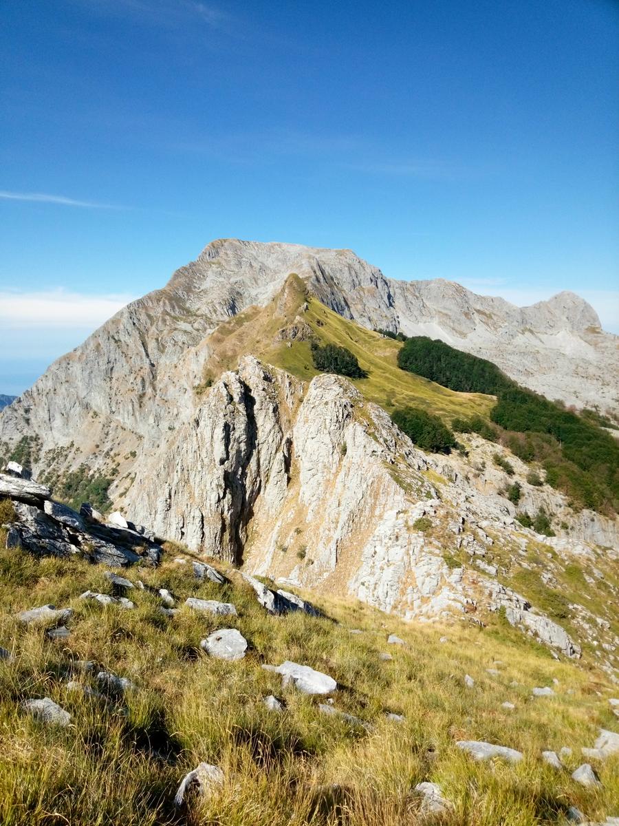 Pania della Croce - Uomo Morto - Pania Secca - foto 12