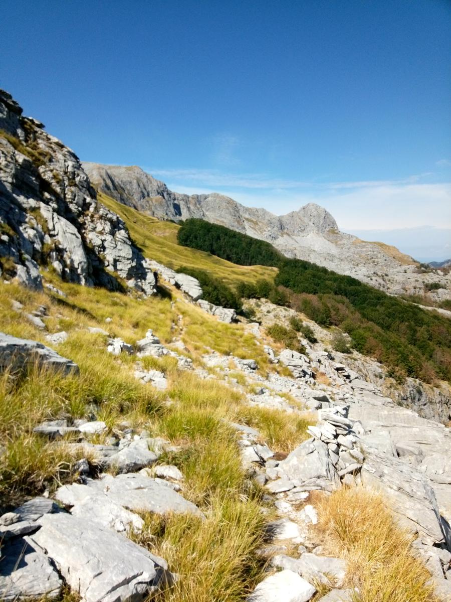 Pania della Croce - Uomo Morto - Pania Secca - foto 13
