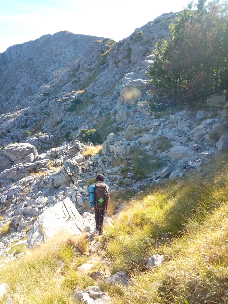 Pania della Croce - Uomo Morto - Pania Secca - foto 21