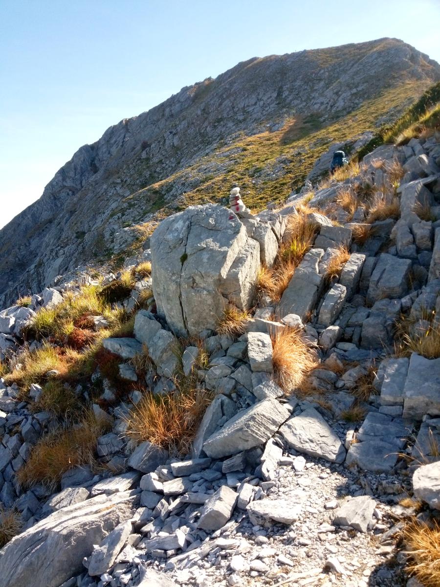 Pania della Croce - Uomo Morto - Pania Secca - foto 22