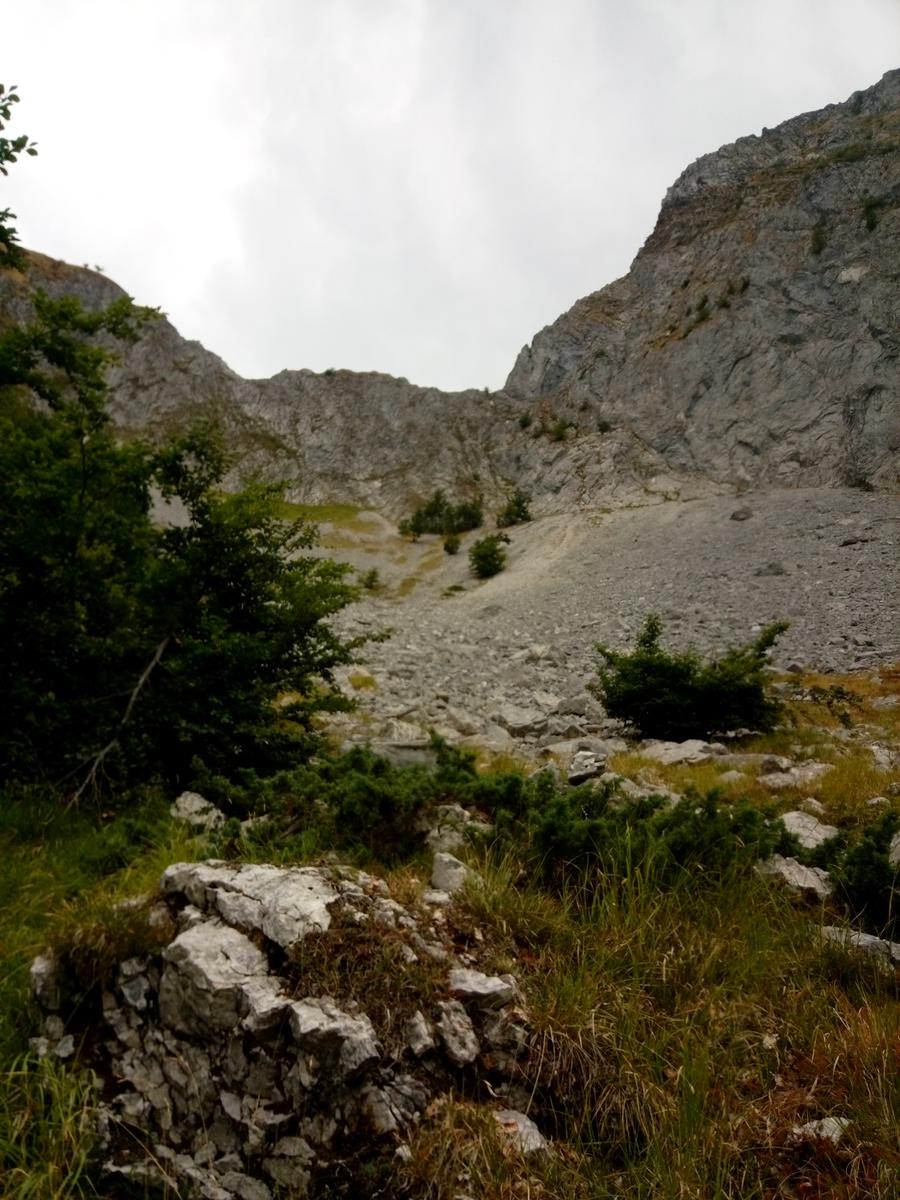 Pania verde - foto 2