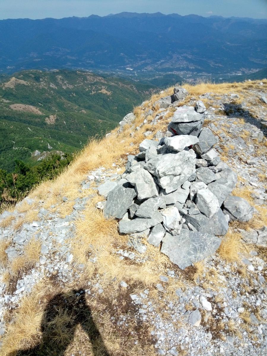 Pania verde - foto 3