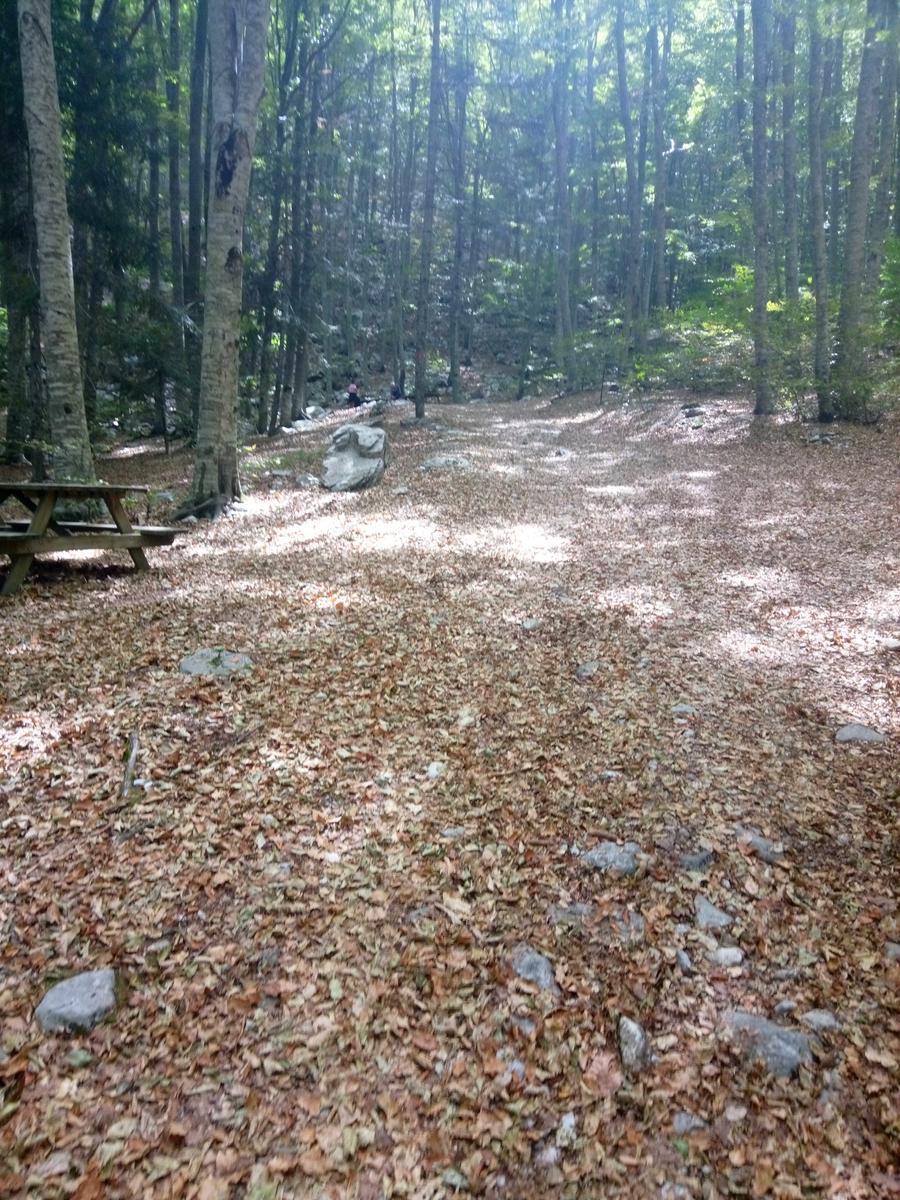 Pania verde - foto 4