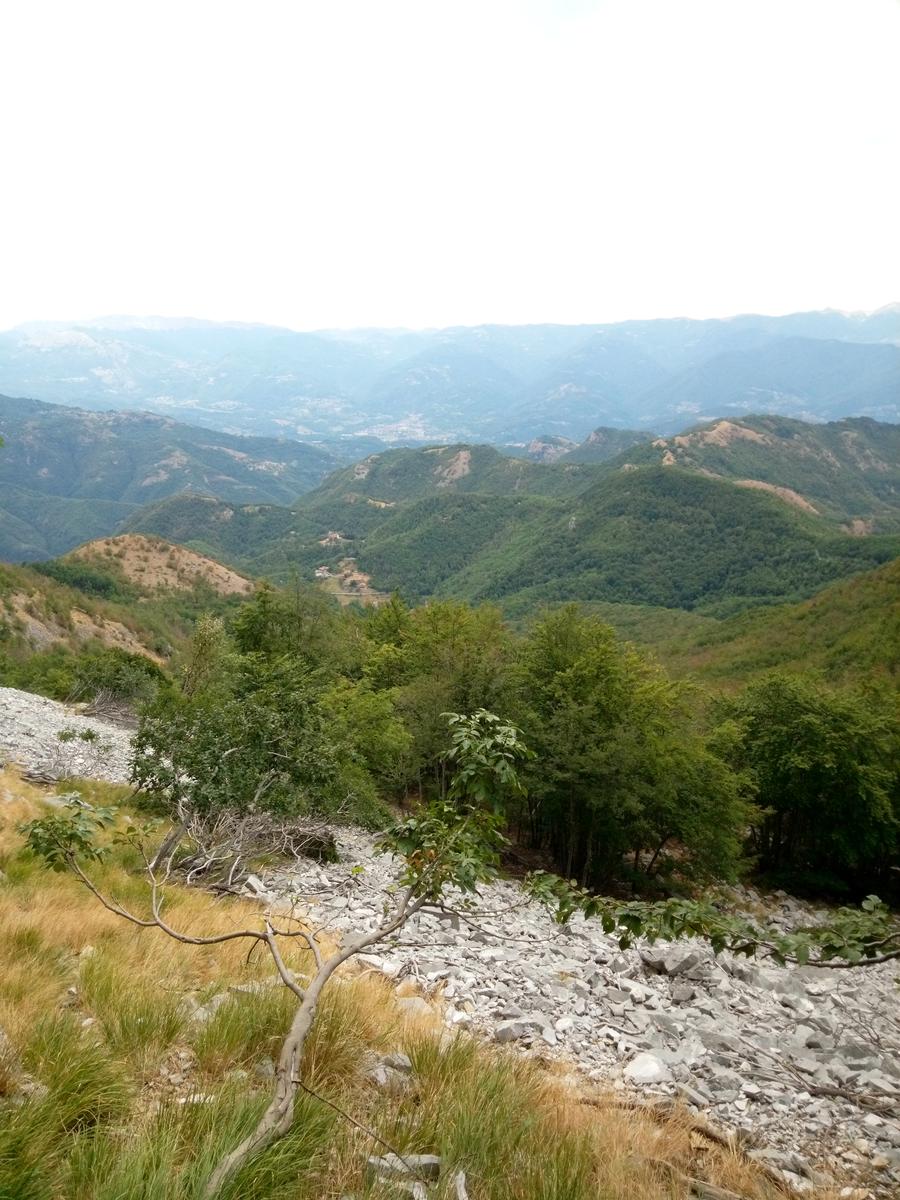 Pania verde - foto 5