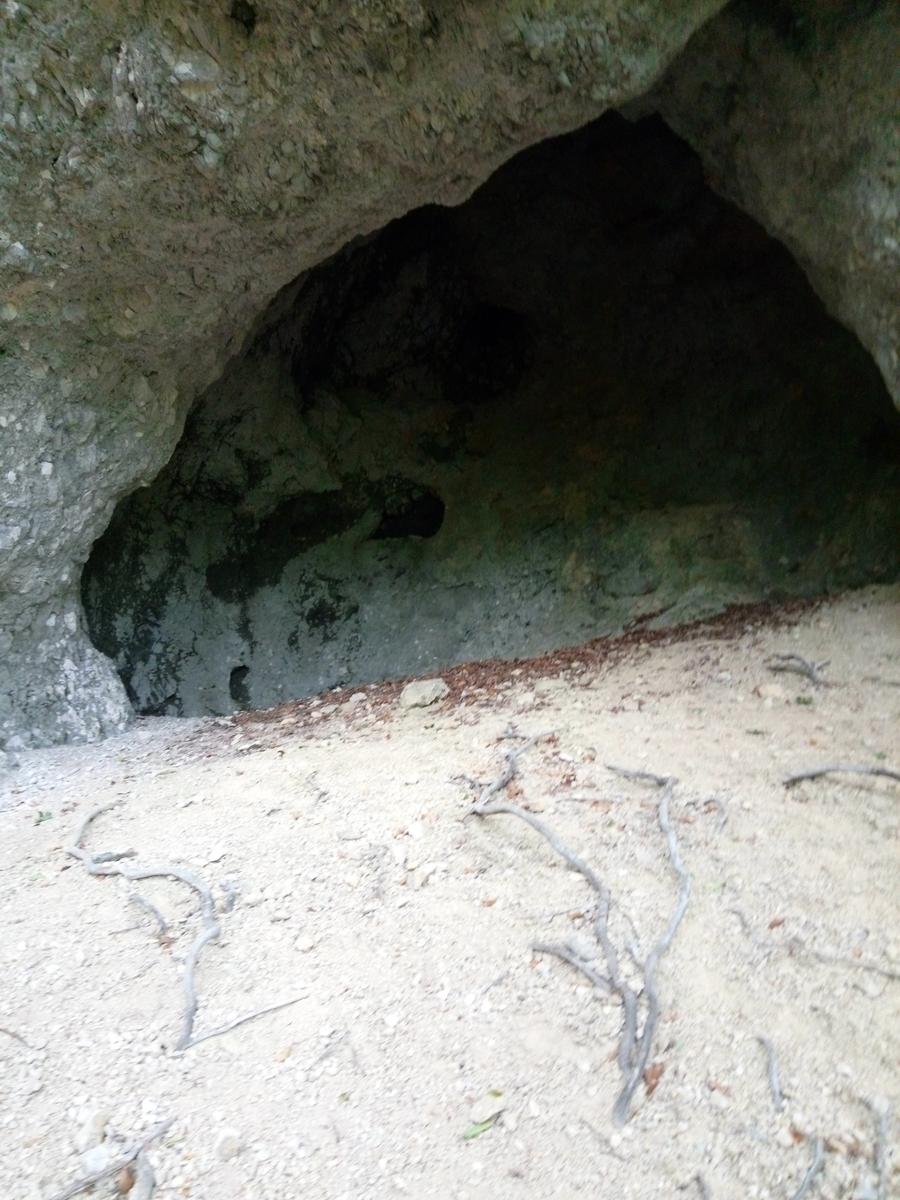 Pania verde - foto 6