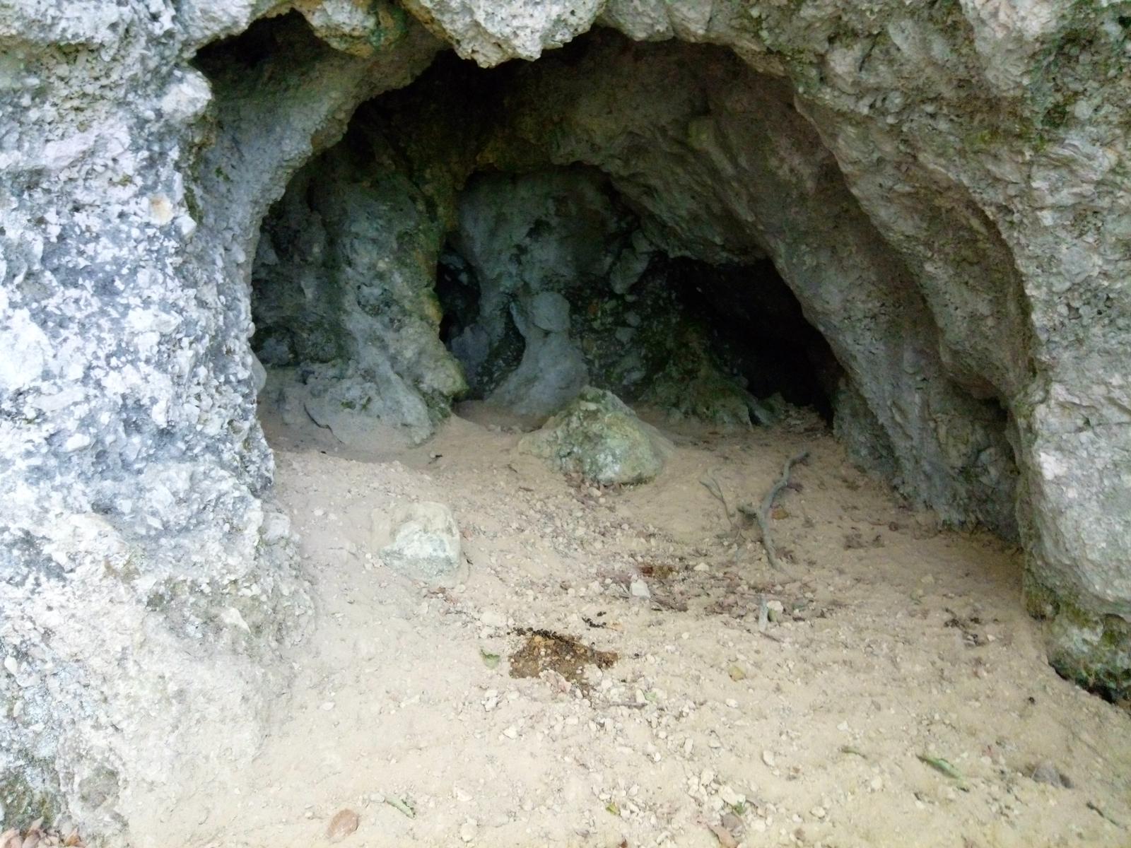 Pania verde - foto 7