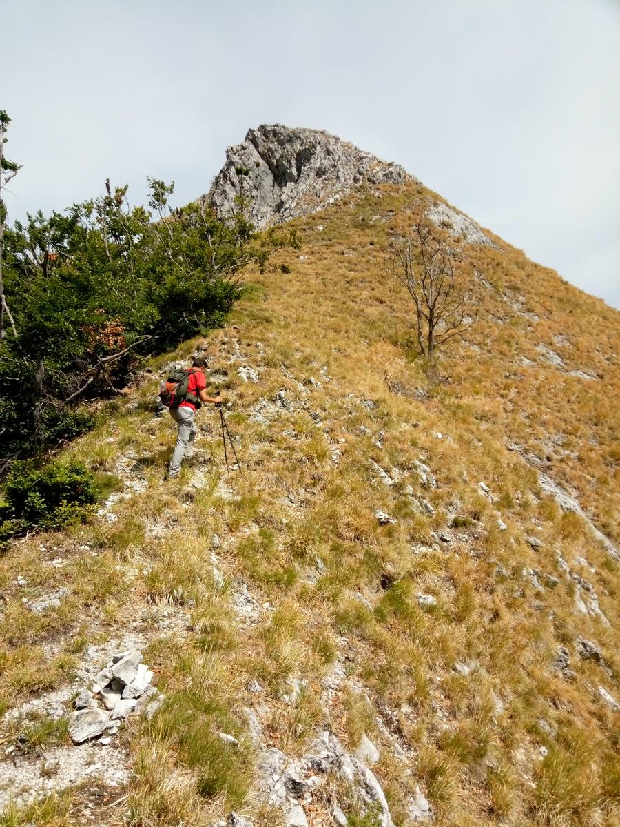 Pania verde - foto 8