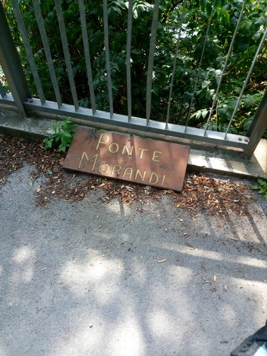 Lago di vagli - Vagli di sotto - Ponte sospeso - foto 8
