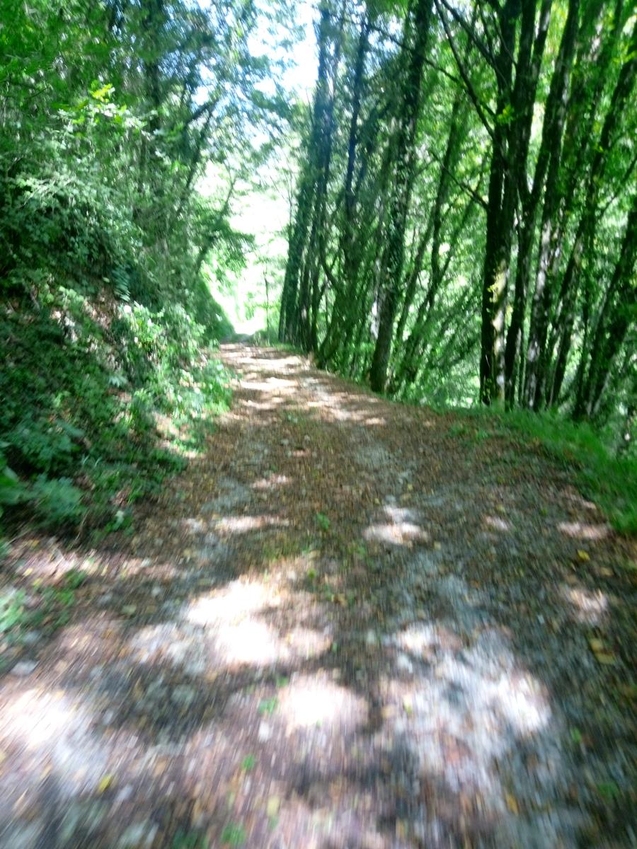 Palleggio Cocciglia risalita torrente Scesta - foto 3