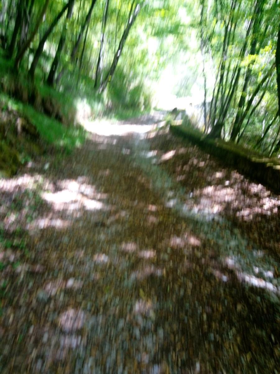 Palleggio Cocciglia risalita torrente Scesta - foto 8