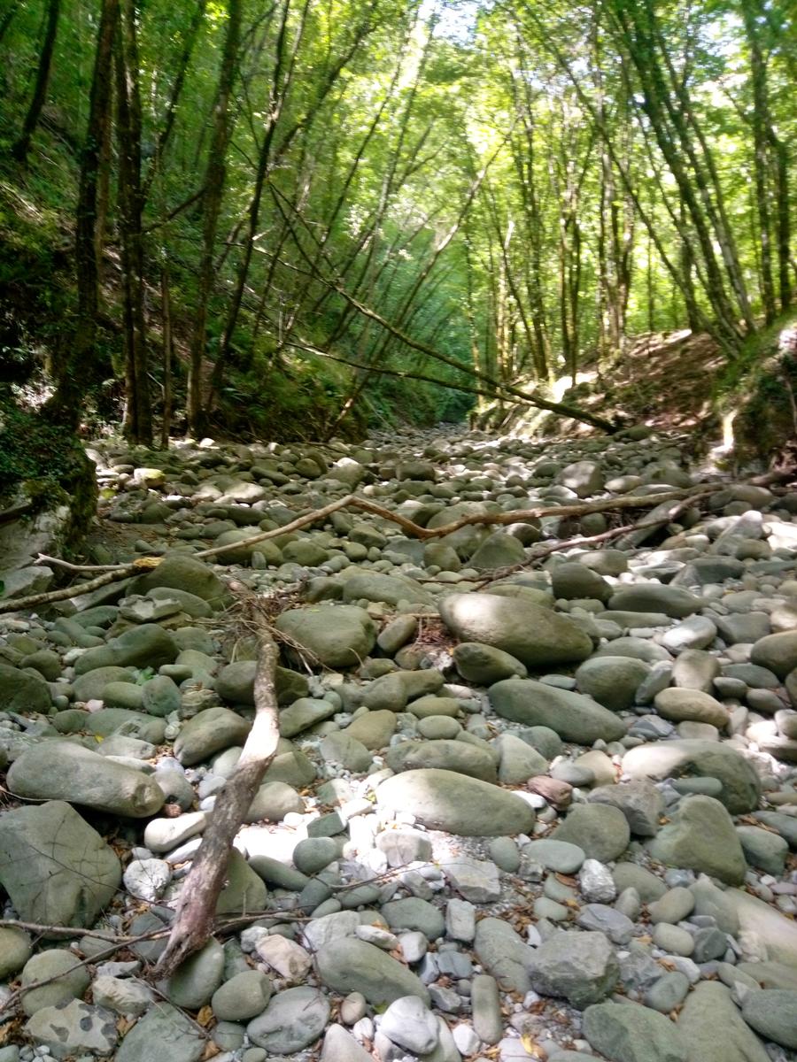 Palleggio Cocciglia risalita torrente Scesta - foto 10