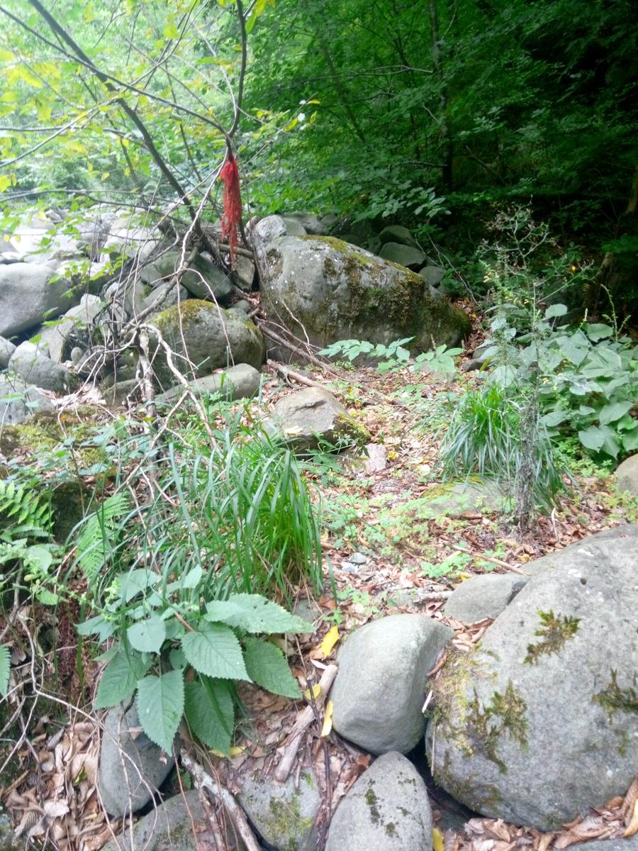 Palleggio Cocciglia risalita torrente Scesta - foto 12